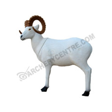 SRT Dall Sheep